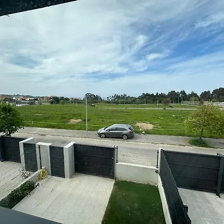 El Texu Gestviva 1 *
